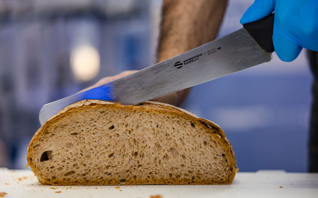 Coltelli professionali Sanelli: guida alla scelta e alla manutenzione
